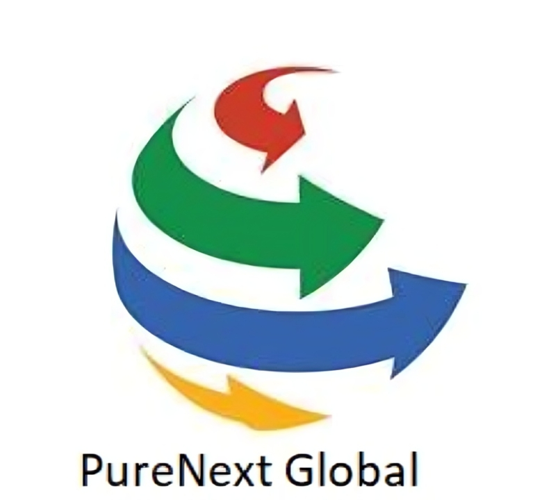 Pure Next Global Logo